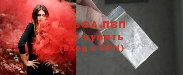 стафф Алексин