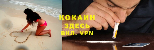 стафф Алексин