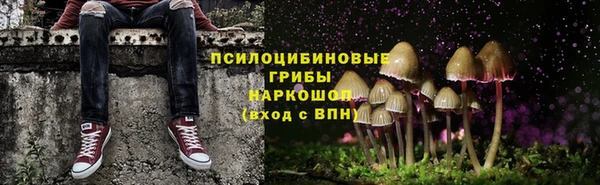 винт Алзамай