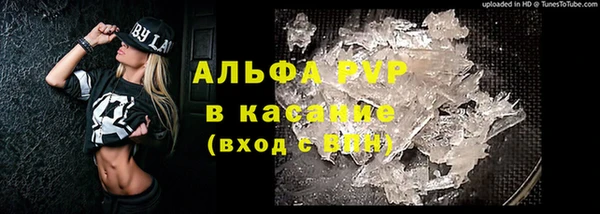 винт Алзамай
