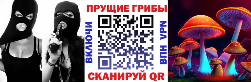 Галлюциногенные грибы мицелий  MEGA сайт  Гуково 